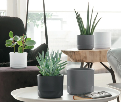 osłonka donica z ceramiki ceramiczna kompozycja donic , dekoracja domu salonu , wystrój wnętrz osłonka donica z ceramiki ceramiczna kompozycja donic , dekoracja domu salonu , wystrój wnętrz