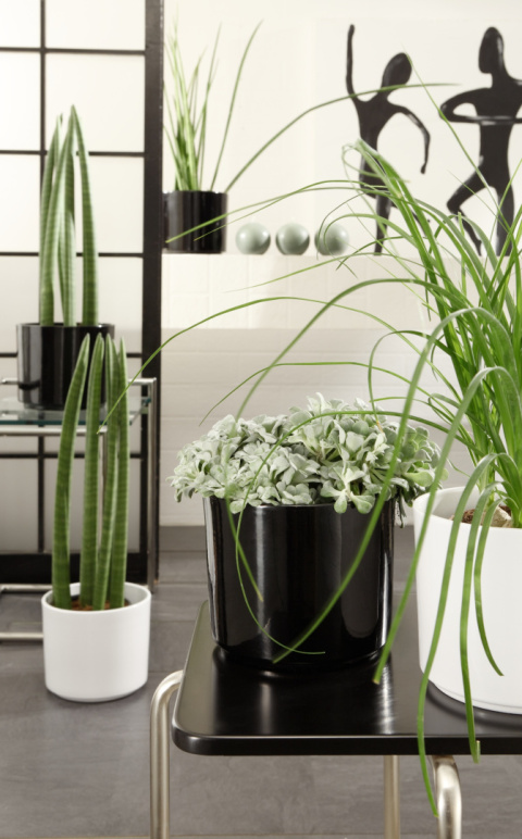 OSŁONKA Z CERAMIKI CERAMICZNA KOMPOZYCJA DEKORACJA OSŁONKA Z CERAMIKI CERAMICZNA KOMPOZYCJA DEKORACJA