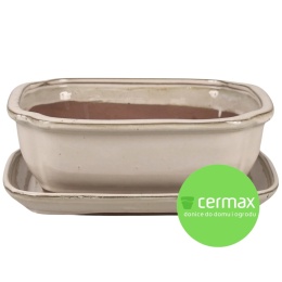 DONICA BONSAI Z PODSTAWKĄ CERAMICZNA SZKLIWIONA KREMOWA H:10x21x26,2cm