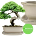 DONICA BONSAI Z PODSTAWKĄ CERAMICZNA SZKLIWIONA KREMOWA H:10x21x26,2cm
