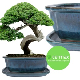 DONICA BONSAI Z PODSTAWKĄ CERAMICZNA SZKLIWIONA TURKUSOWA H:10x21x26,2cm