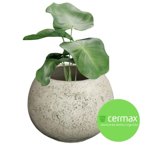 DONICA KULA NISKA 41x54 MROZOODPORNA BIAŁA LEKKI CEMENT