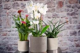 OSŁONKA CERAMICZNA 18x21,6cm BRĄZOWA PILLAR LAVA