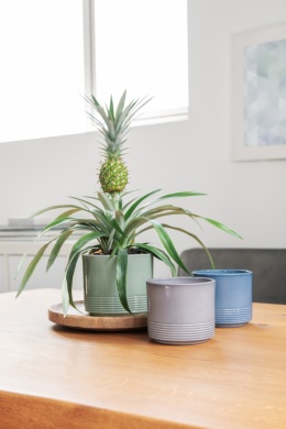 OSŁONKA CERAMICZNA KOMPLET 4SZT ZIELONA LAZUR CYLINDER RILLE 992