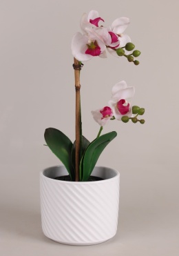 OSŁONKA NA DONICZKĘ DONICA CERAMICZNA OKRĄGŁA BIAŁA KOMPLET 5SZT