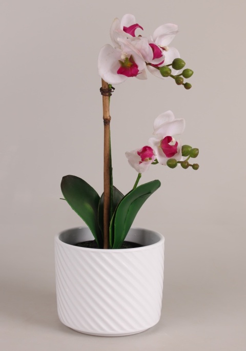 OSŁONKA NA DONICZKĘ DONICA CERAMICZNA OKRĄGŁA BIAŁA KOMPLET 5SZT