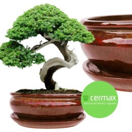 DONICA BONSAI Z PODSTAWKĄ CERAMICZNA SZKLIWIONA CZERWONA H:10x20,8x25,5cm