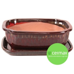 DONICA BONSAI Z PODSTAWKĄ CERAMICZNA SZKLIWIONA CZERWONA H:8,8x17x21,5cm