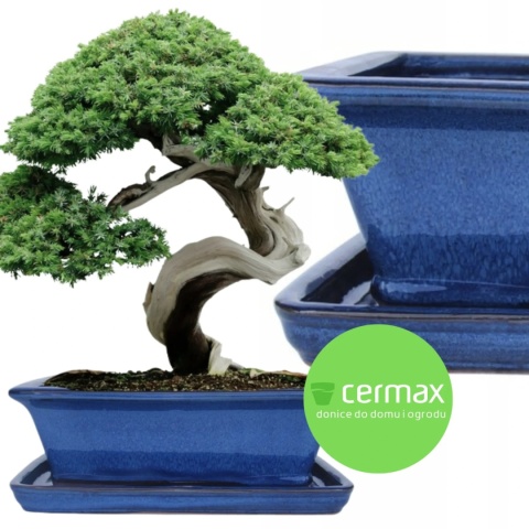 DONICA BONSAI Z PODSTAWKĄ CERAMICZNA SZKLIWIONA NIEBIESKA H:9x17x21,2cm