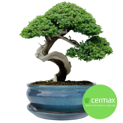 DONICA BONSAI Z PODSTAWKĄ CERAMICZNA SZKLIWIONA TURKUSOWA H:10x20,8x25,5cm