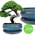 DONICA BONSAI Z PODSTAWKĄ CERAMICZNA SZKLIWIONA TURKUSOWA H:10x20,8x25,5cm