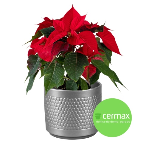 OSŁONKA CERAMICZNA SREBRNA 11x12,5 KOMPLET 6SZT