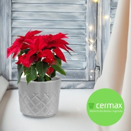 OSŁONKA CERAMICZNA SREBRNA 16,5x14,5 CM KOMPLET 4 SZT