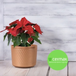 OSŁONKA CERAMICZNA ZŁOTA 12,5 x 11 cm KOMPLET 6 szt.