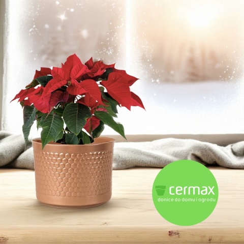 OSŁONKA CERAMICZNA ZŁOTA 12,5 x 11 cm KOMPLET 6 szt.