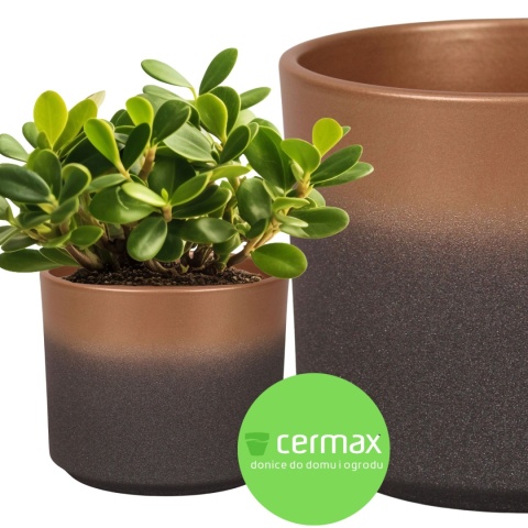 OSŁONKA CERAMICZNA ZŁOTA GRAFITOWA ŚWIĄTECZNA 14,5x16,5 KOMPLET 4SZT