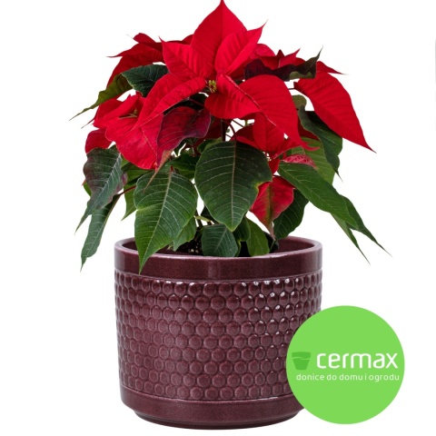 OSŁONKA DONICZKA CERAMICZNA BORDOWA 11x12,5 KOMPLET 6 SZT