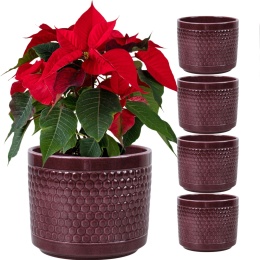 OSŁONKA DONICZKA CERAMICZNA BORDOWA 14,5 x 12 CM KOMPLET 5 SZT