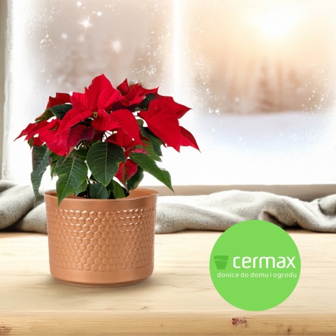 OSŁONKA DONICZKA ZŁOTA 12,5 x 11 cm KOMPLET 6 SZT.