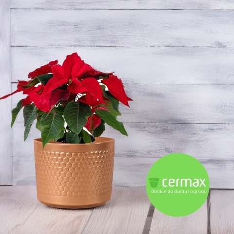 OSŁONKA DONICZKA ZŁOTA 12,5 x 11 cm KOMPLET 6 SZT.