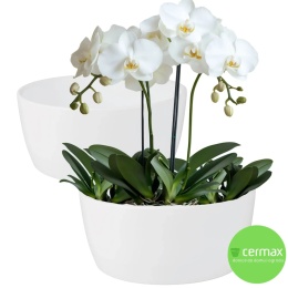 OSŁONKA MISA CERAMICZNA DONICA BIAŁA ZESTAW 2 SZTUK 13x28,5cm CERMAX