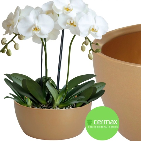 OSŁONKA MISA CERAMICZNA DONICA ZŁOTA ZESTAW 2 SZTUK 9,5x22,5cm