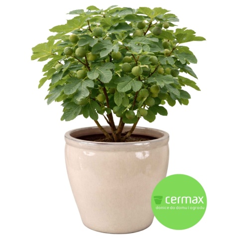 DONICA CERAMICZNA MROZOODPORNA SZKLIWIONA KREMOWA OGRODOWA26x24,5cm