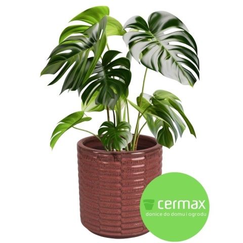 DONICA DONICZKA DUŻA CERAMICZNA SZKLIWIONA MROZOODPORNA CZERWONA KOMPLET 4 SZT