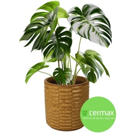 DONICA DONICZKA DUŻA MROZOODPORNA CERAMICZNA SZKLIWIONA ŻÓŁTA 24x24 cm