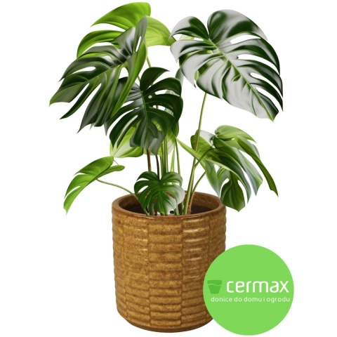 DONICA DONICZKA DUŻA MROZOODPORNA CERAMICZNA SZKLIWIONA ŻÓŁTA 19x19 cm