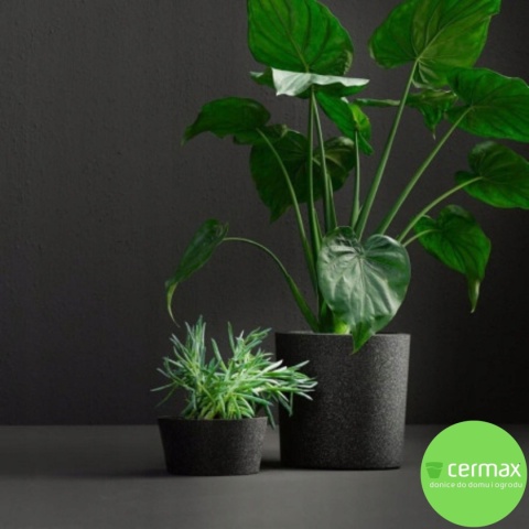 DONICA IQ HOOPS CZARNA H:32x32cm ZE STYROPIANU EPP LEKKA MROZOODPORNA