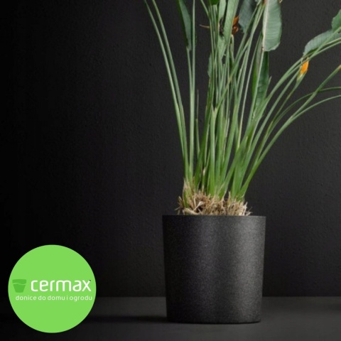 DONICA IQ HOOPS CZARNA H:48x48cm ZE STYROPIANU EPP LEKKA MROZOODPORNA