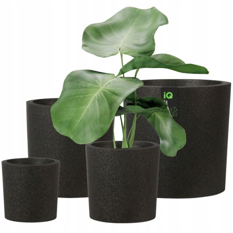 DONICA IQ HOOPS CZARNA KOMPLET 4 SZTUKI ZE STYROPIANU EPP LEKKA MROZOODPORNA