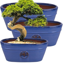 DONICA SZKLIWIONA CERAMICZNA MROZOODPORNA OWALNA KORYTKO NIEBIESKA KOMPLET 3SZT