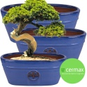 DONICA SZKLIWIONA CERAMICZNA MROZOODPORNA OWALNA KORYTKO NIEBIESKA KOMPLET 3SZT