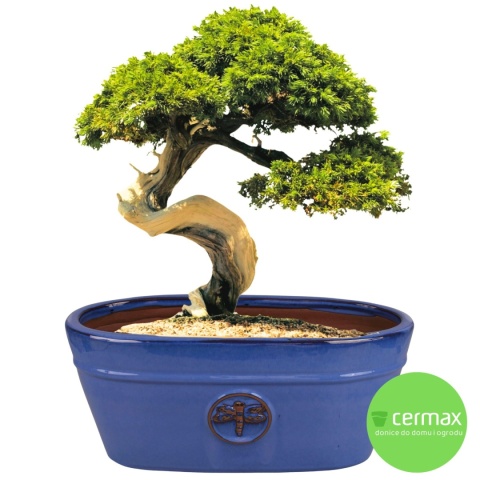 DONICA SZKLIWIONA CERAMICZNA MROZOODPORNA OWALNA KORYTKO NIEBIESKA KOMPLET 3SZT