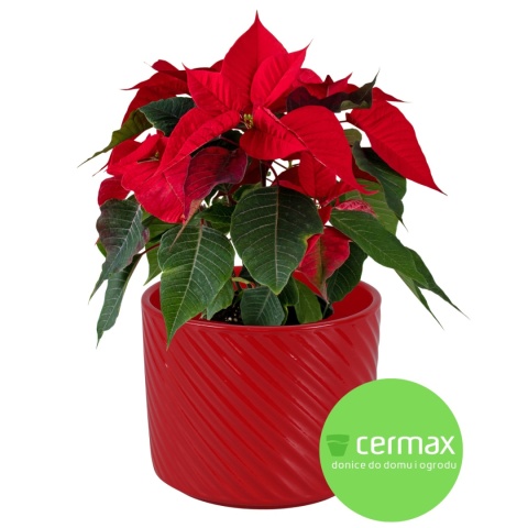 OSŁONKA DONICZKA CERAMICZNA CZERWONA 14,5x12 cm KOMPLET 5 SZT.