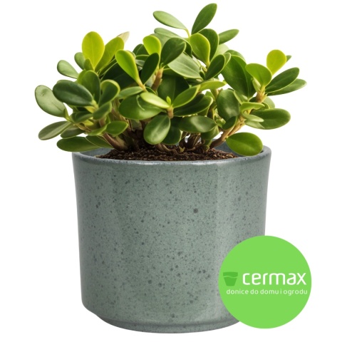 OSŁONKA DONICZKA CERAMICZNA ZIELONA 20,5 x 18 CM