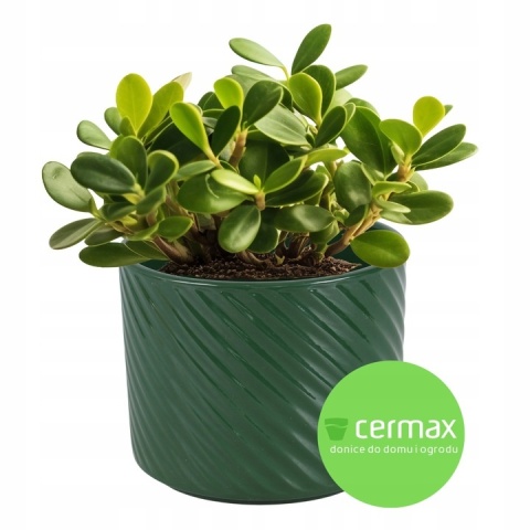 OSŁONKA NA DONICZKĘ DONICA CERAMICZNA OKRĄGŁA BUTELKOWA ZIELEŃ KOMPLET 4SZT 14,5x16,5