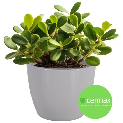 OSŁONKA NA DONICZKĘ DONICZKA CERAMICZNA OKRĄGŁA SZARA 26 x 22,5 CM