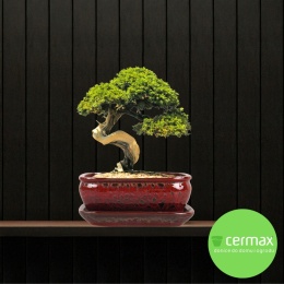 DONICA BONSAI Z PODSTAWKĄ 10x20,7x27cm CERAMICZNA SZKLIWIONA CZERWONA