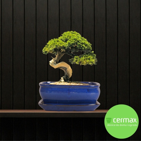 DONICA BONSAI Z PODSTAWKĄ 10x20,7x27cm CERAMICZNA SZKLIWIONA NIEBIESKA