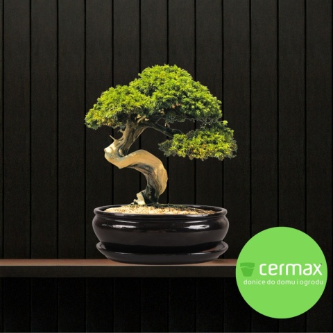 DONICA H:11x25,5x31,5cm BONSAI Z PODSTAWKĄ CERAMICZNA SZKLIWIONA CZARNA