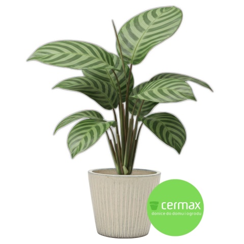 DONICA DONICZKA CERAMICZNA SZKLIWIONA MROZOODPORNA KREMOWA 33x28 CM