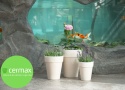 DONICA XL TERAKOTA GRANIT H33Ø26cm MROZOODPORNA OGRODOWA ZEWNĘTRZNA