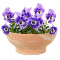 DONICA 10x23cm MISA M TERAKOTA HM PIASKOWA MROZOODPORNA