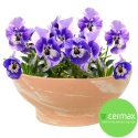 DONICA 15x39cm MISA M TERAKOTA HM PIASKOWA MROZOODPORNA