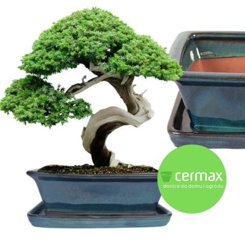DONICA BONSAI Z PODSTAWKĄ CERAMICZNA SZKLIWIONA TURKUSOWA H:12,5x28,5x36,5cm