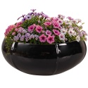DONICA CERAMICZNA SZKLIWIONA H:22x54cm MROZOODPORNA ELIPSA CZARNA