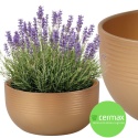 OSŁONKA CERAMICZNA ZŁOTA DEKORACJA 14x24cm